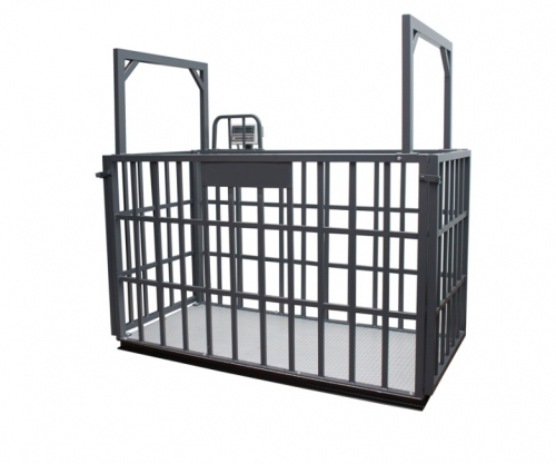 BÜYÜKBAŞ HAYVAN BASKÜLÜ